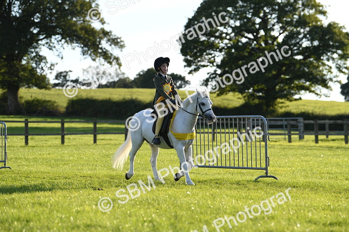 SBM_54204 - S23 - 1st Ridden Mountain & Moorland Pony