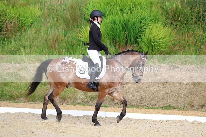 3E7A1434 - Class 2: Intro 2 2024 Section B