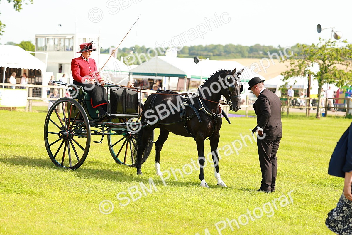 SBM_01196