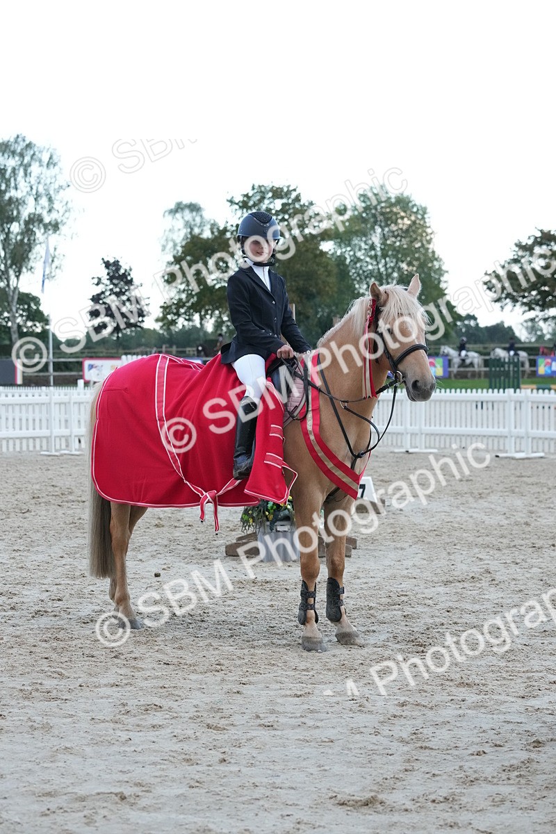 SBM_54224 - Supreme Championship 60cm 65cm