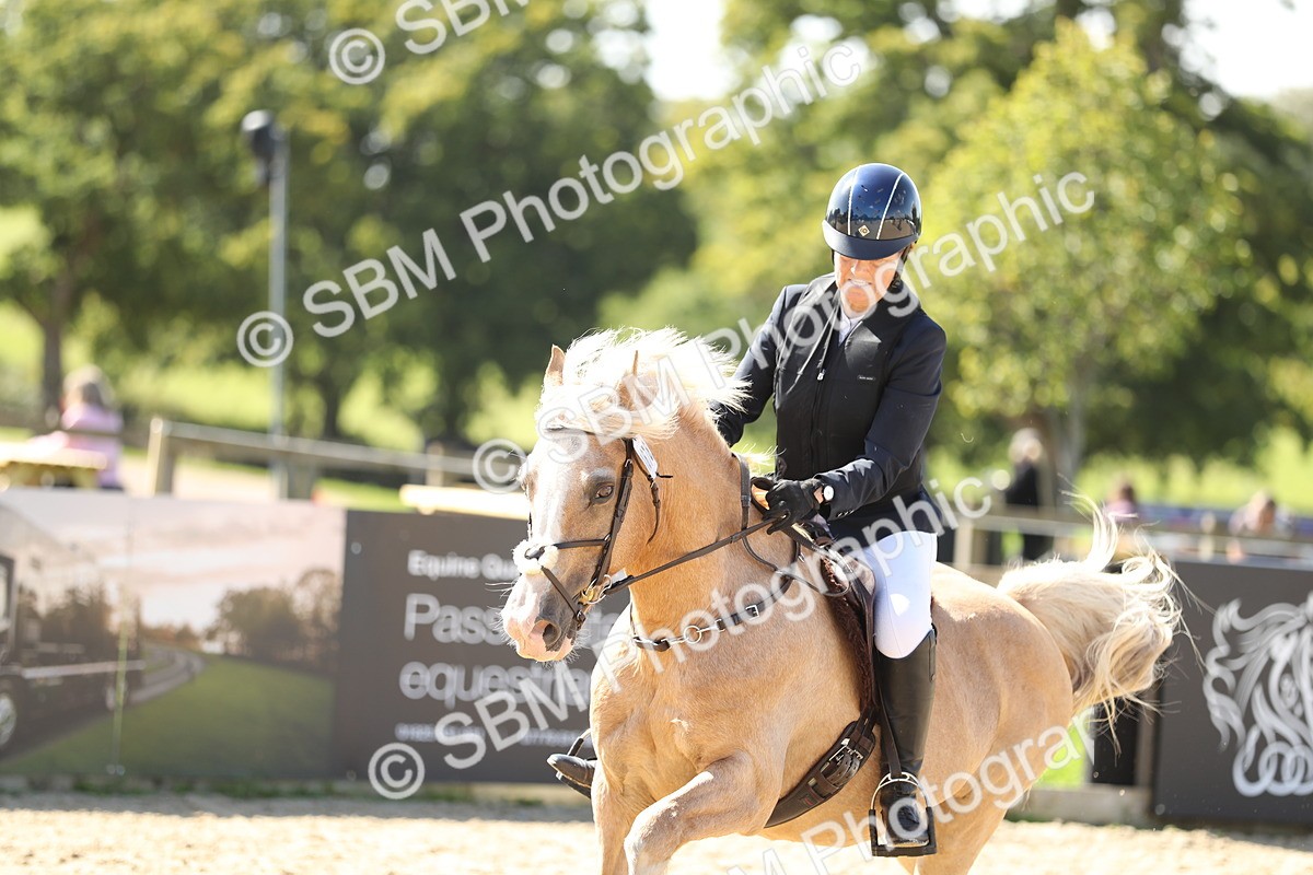 SBM_05599 - J35 - Veteran Rider 60cm