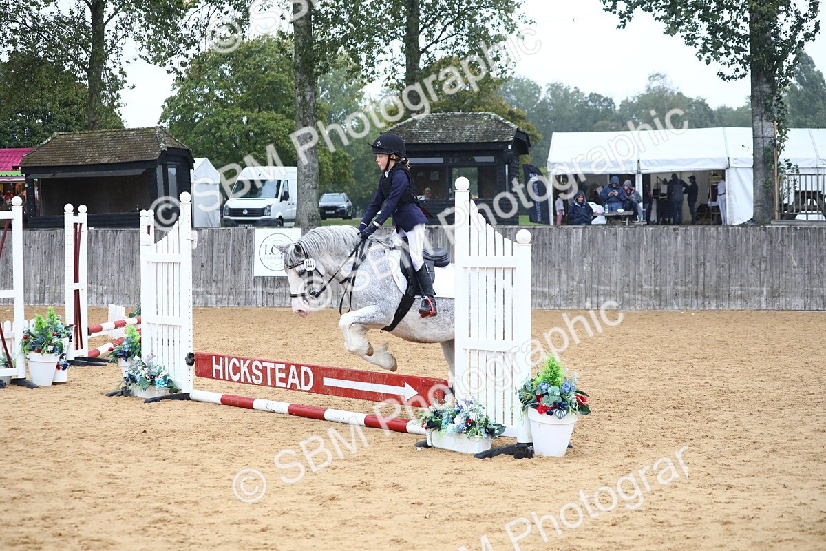 SBM_71699 - J4 - Mini Tour Junior Pony 45cm Championship