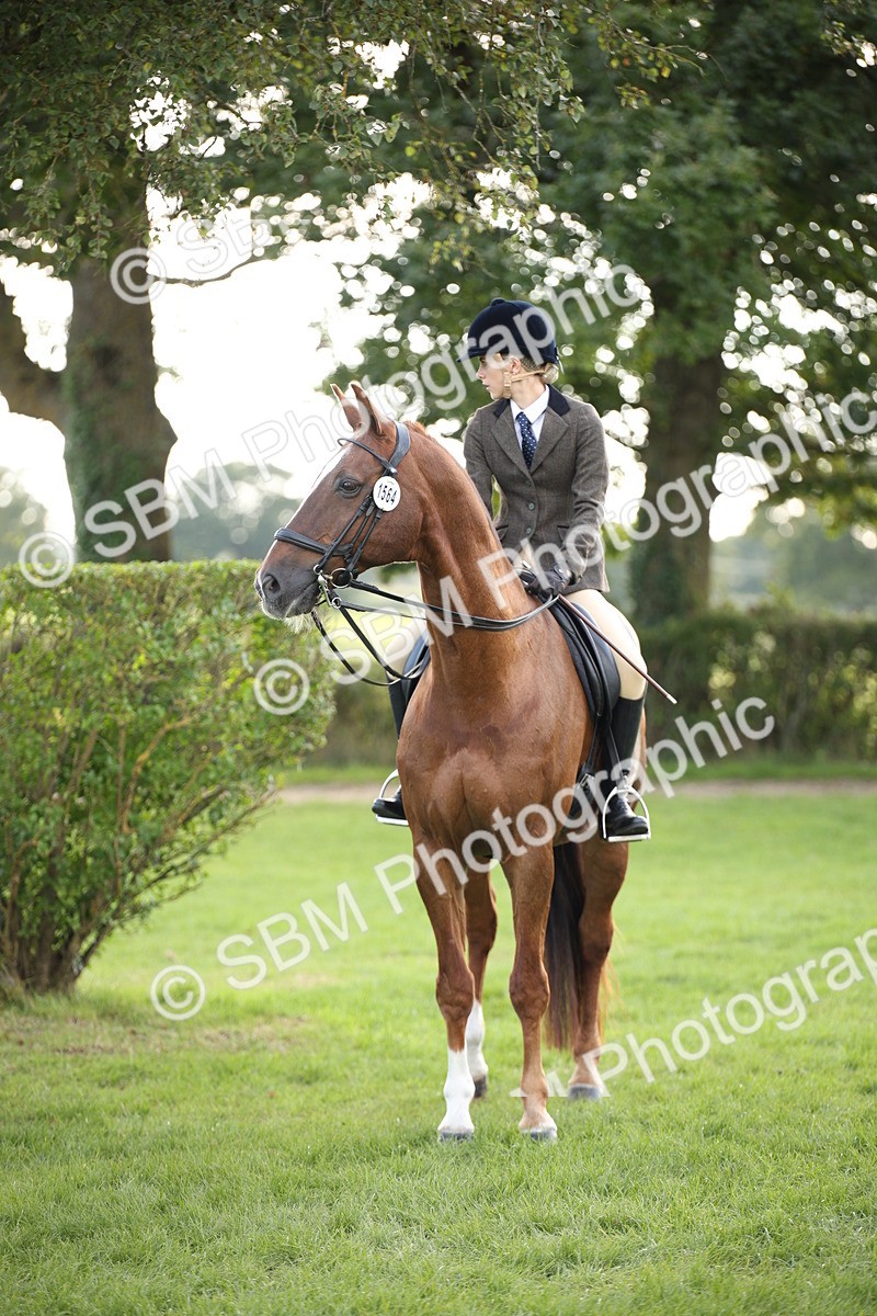 SBM_54272 - S27 - Mature Veteran - Ridden