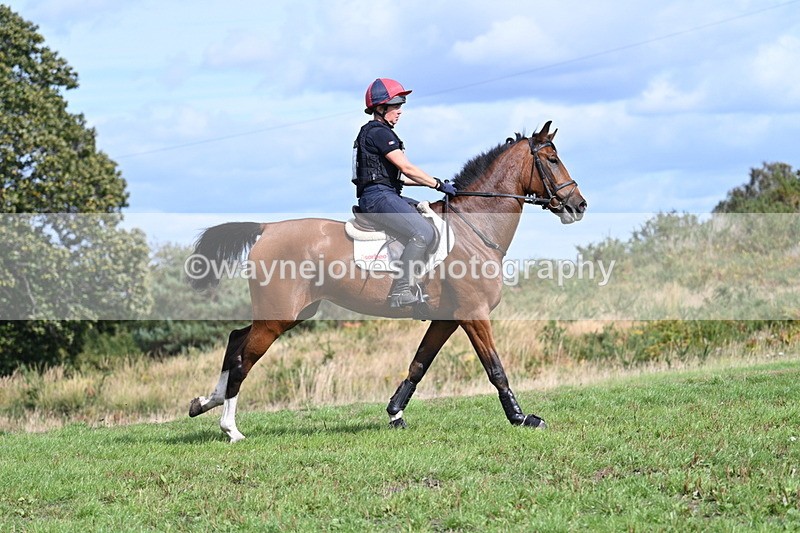 WJ7_2015 - Time 13:17 to 13:53