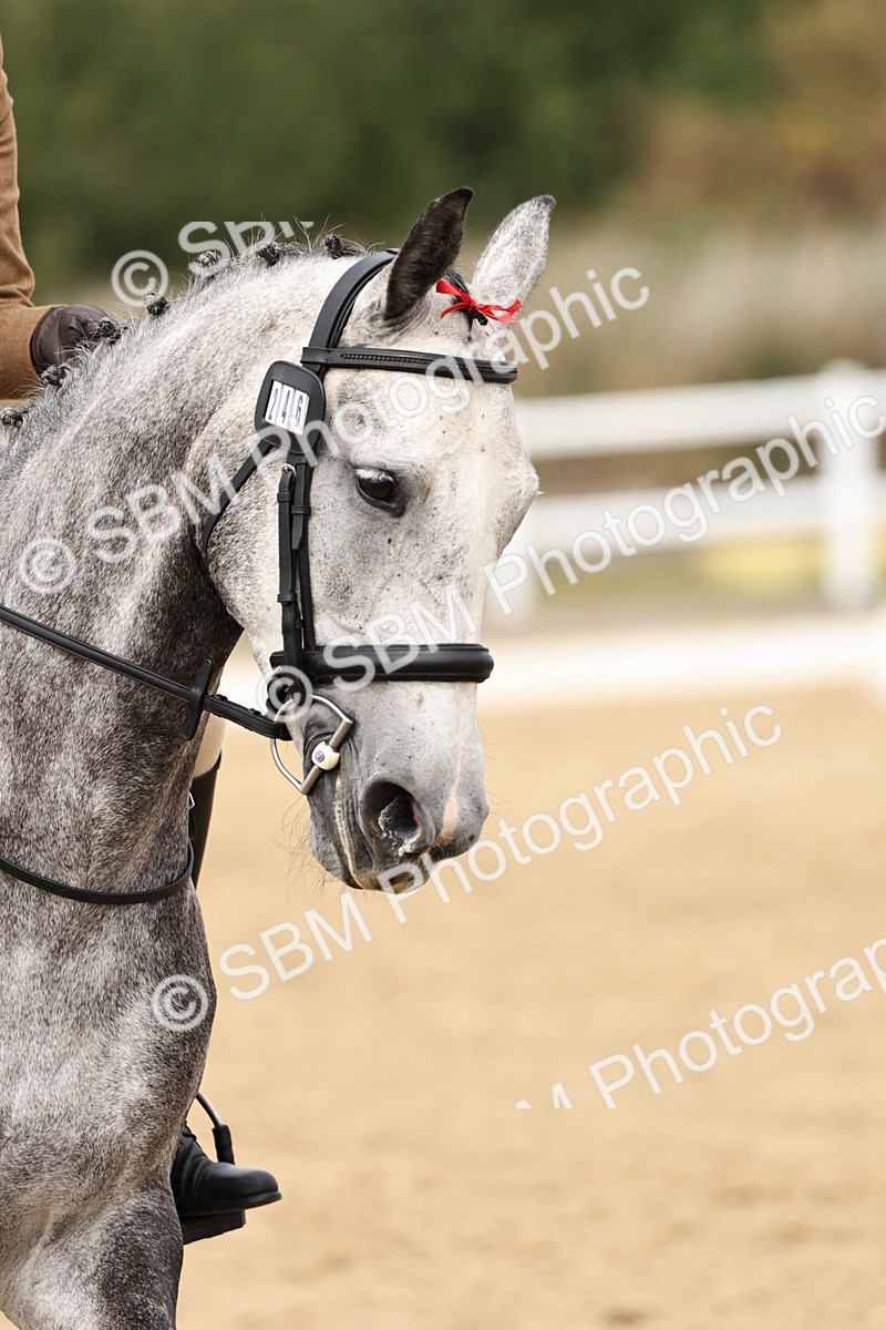 SBM_013028 - Class 3 - Novice 4 - 11.43-12.25