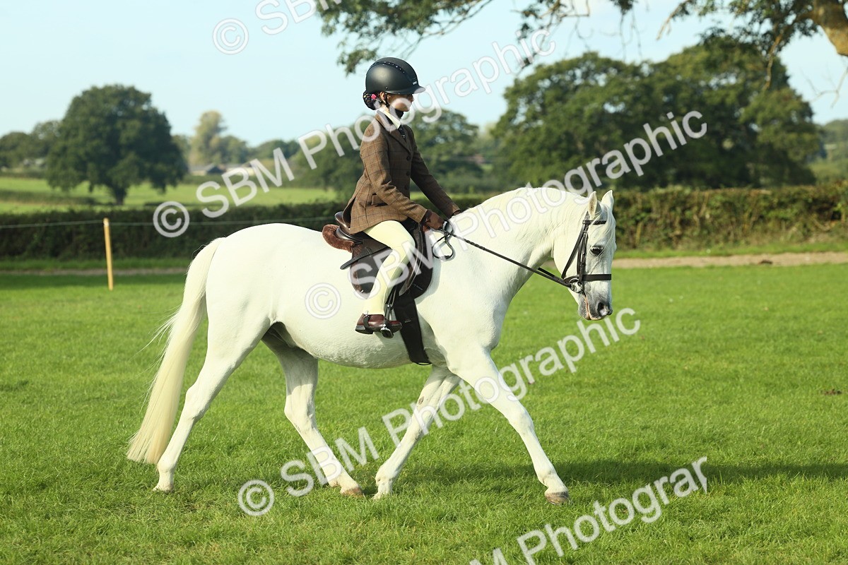 SBM_59833 - S38 - Starters Ridden Showing