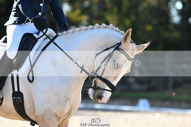 231110-111445-00376 - Cls 2 Prelim 17(a)Q