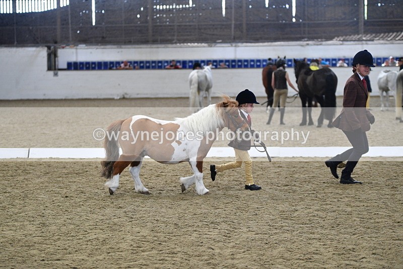 WJ5_4928 - Class 7 In hand coloured / odd coloured