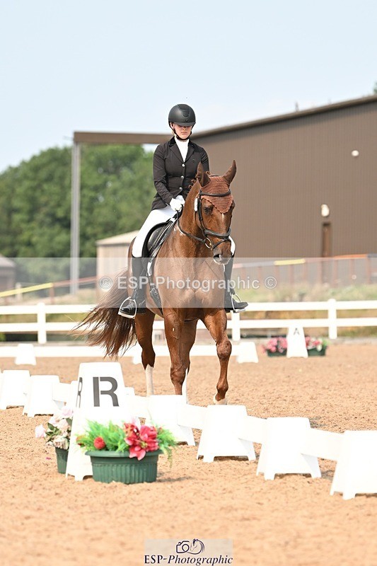 250816-152346-06170 - 121-Daisy.HedgesFelicia.v