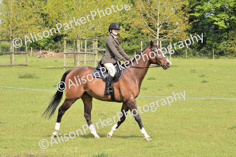 20260426-1181 - Class 19 - Retraining Of Racehorses