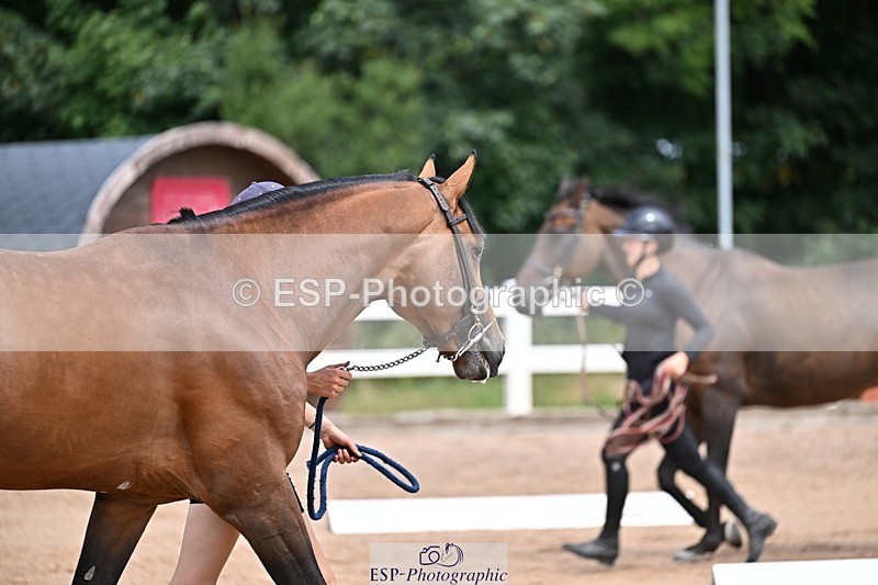 250716-130935-00371 - Trot Up 12.30 to 1.30