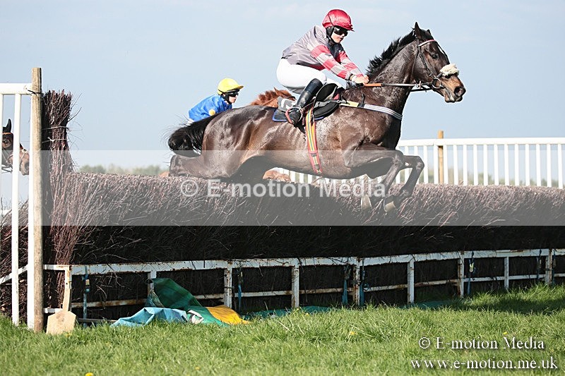 PtP 210418 533 - South & West Wilts Point-to-Point Larkhill 21/04/18