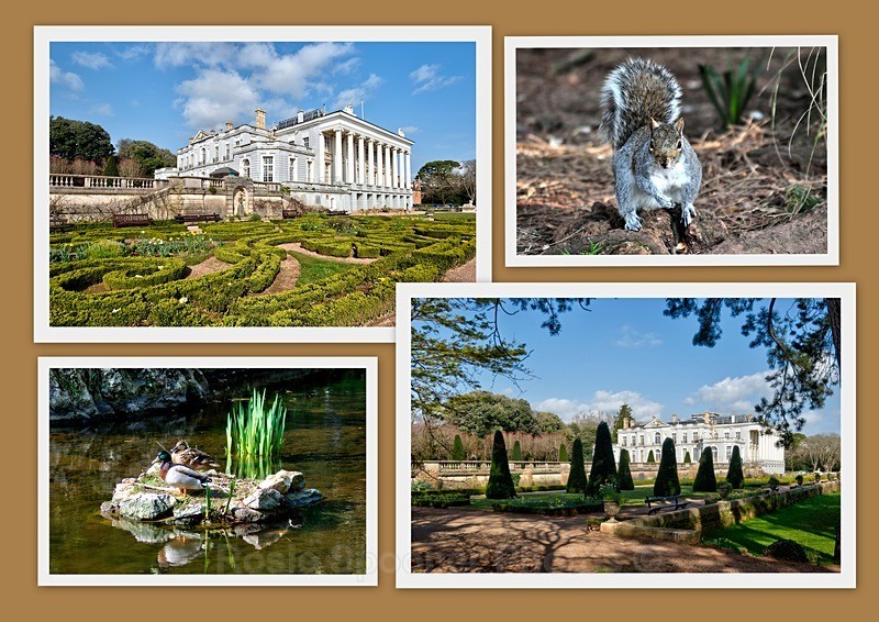 DE06 A collage of Oldway views and wildlife - Greetings Cards Torquay (Separate galleries for Cockington plus Meadfoot and Ansteys)