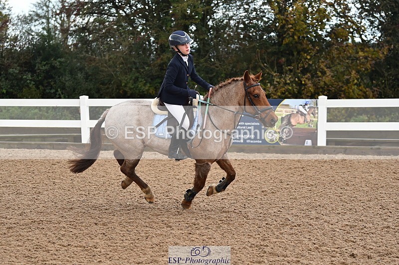 231029A-110746-02560 - Pony British Novice & 80cm Open