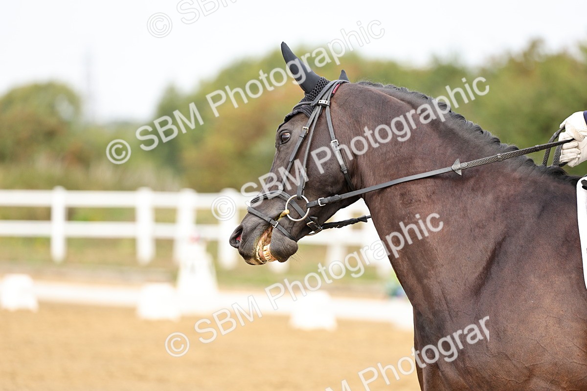 SBM_012243 - Class 2 - Prelim 5