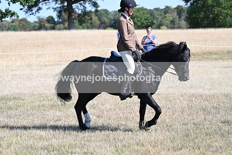WJ7_3811 - Class 9 Mountain & Moorland Ridden