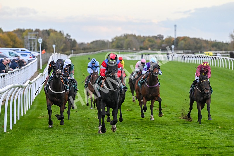 281025-Race 7-Crocodile Power-2102 - Race 7