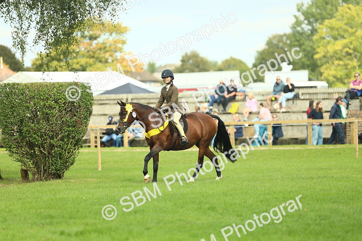 SBM_44951 - Working Hunter Pony Supreme Championship