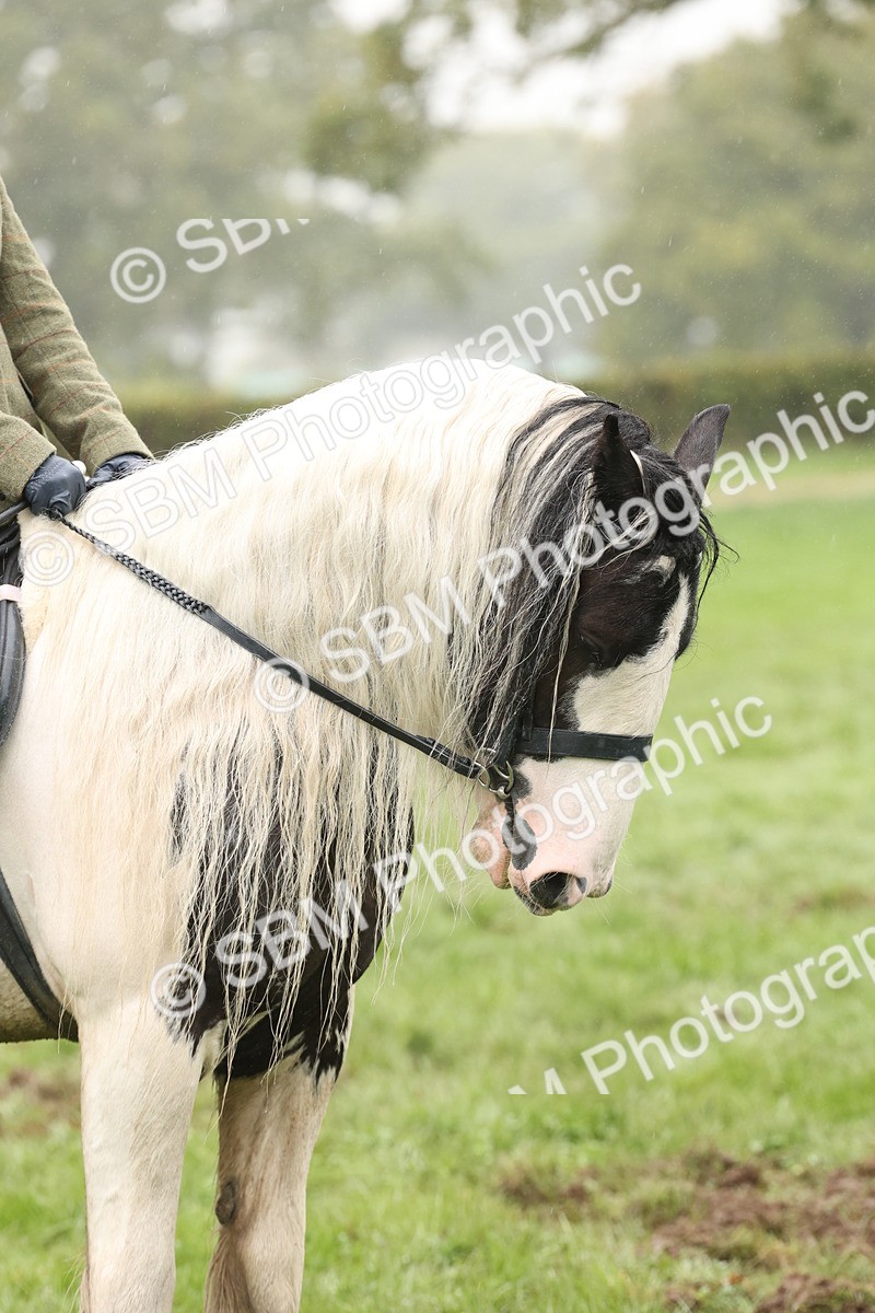 SBM_72792 - S70 - Traditional Cob Ridden