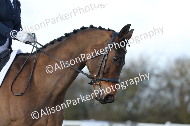 20260314-4920 - CT6 - Elementary 1