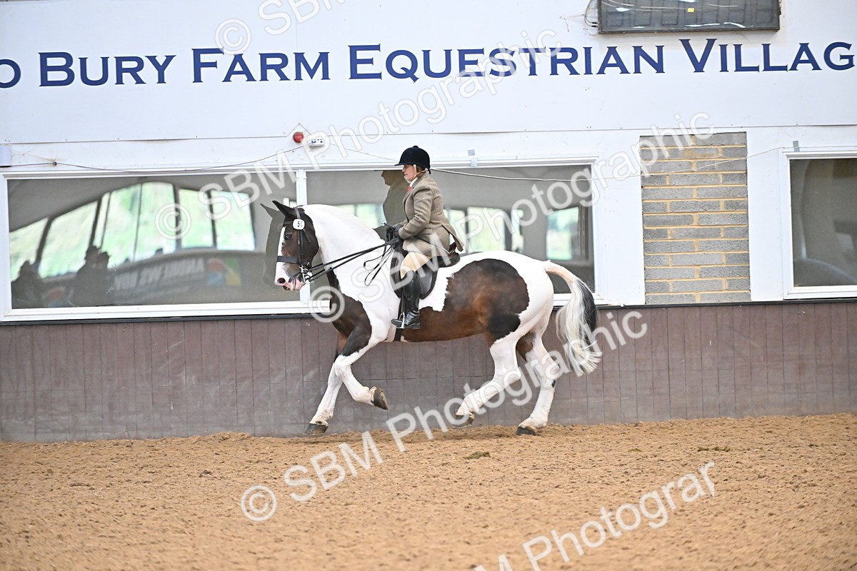 SBM_002645 - Class 28,29 - Ridden Irish & Coloured