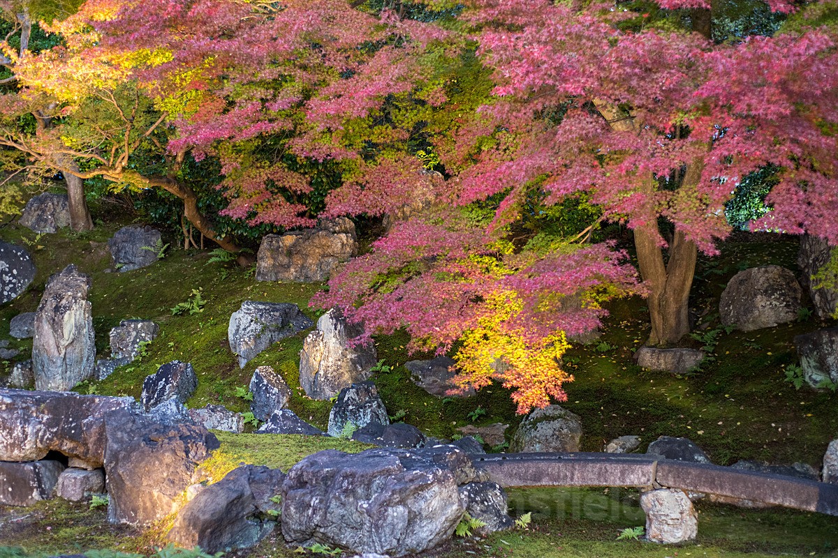  - Japan