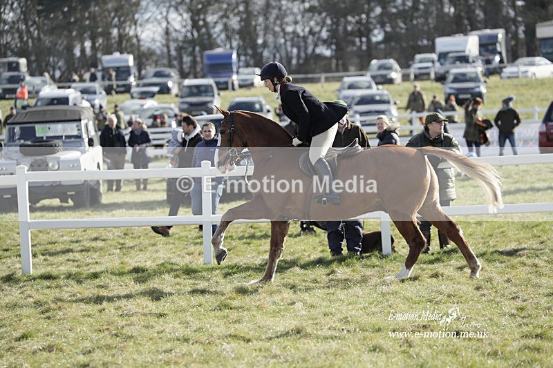 PtP 260223 930 - South & West Wilts Point-to-Point Larkhill 26/02/23