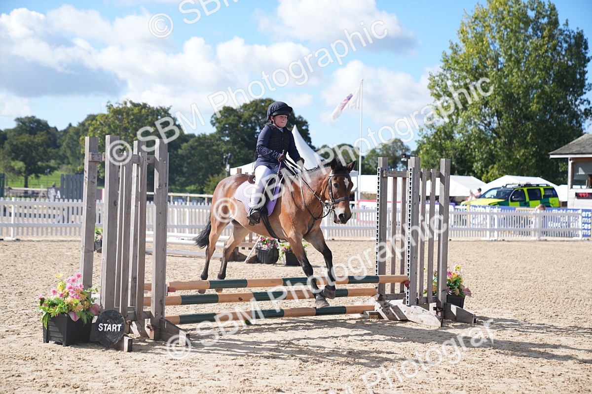 SBM_02447 - J54 Clear Round 45cm