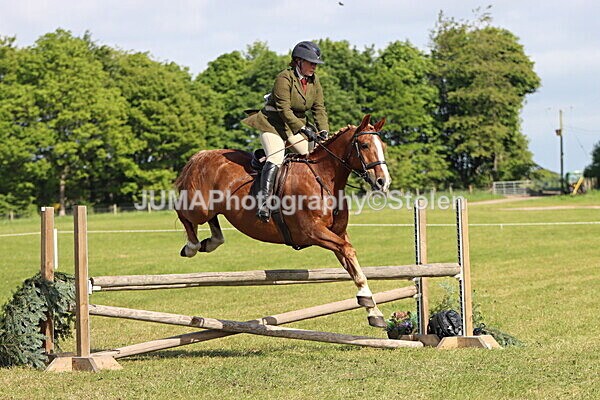 IMG_4877 - Working Hunter