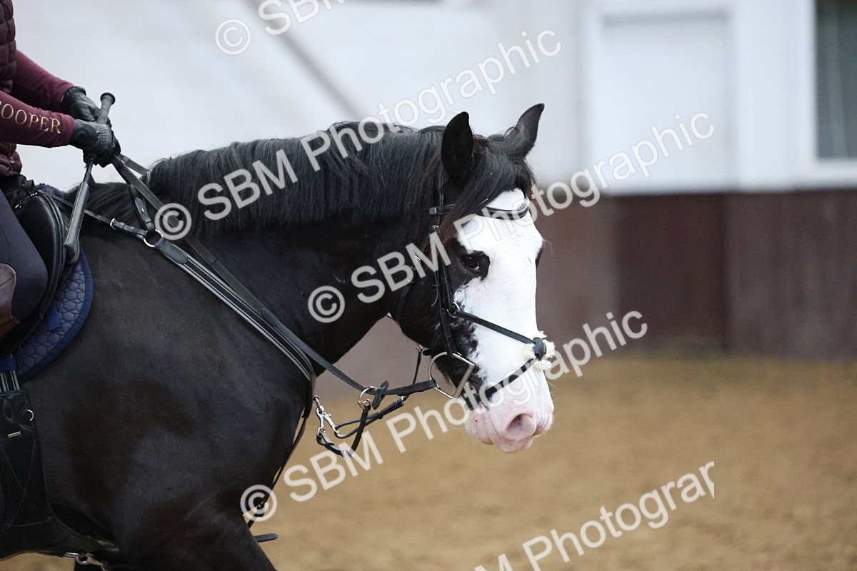 SBM_000482 - 60cm