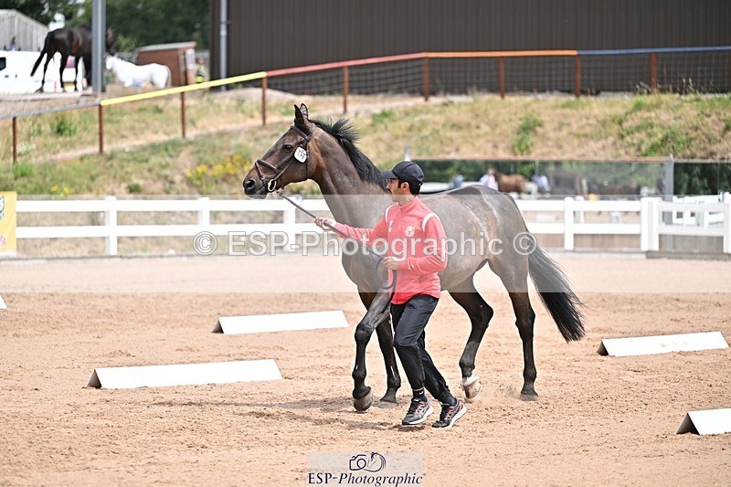 250716-132050-00448 - Trot Up 12.30 to 1.30
