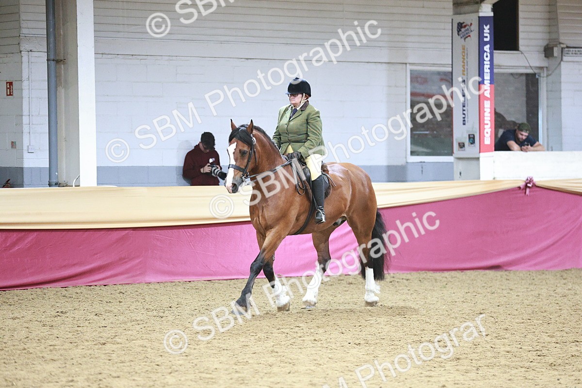 SBM_08946 - Class 12R - Regional Ridden Pre-Vet