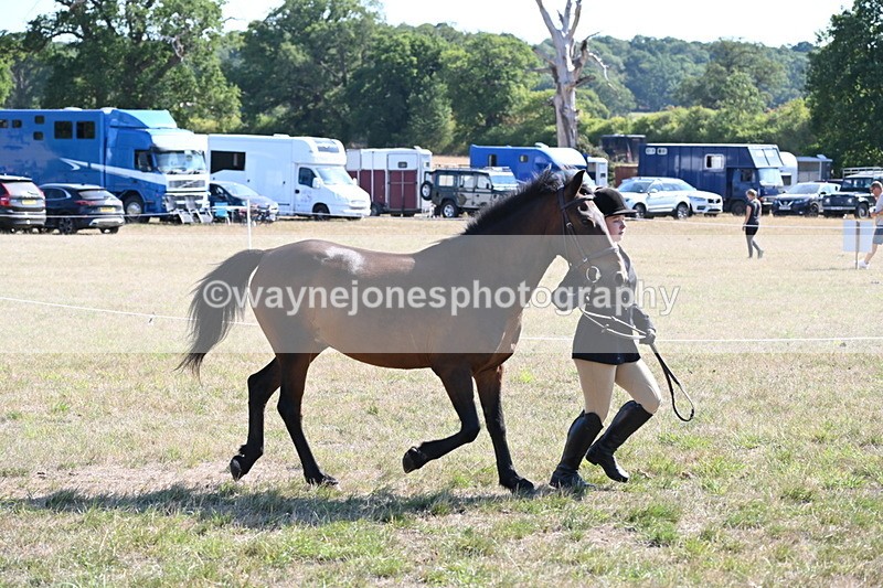 WJ6_7543 - Class 34 Judges Choice