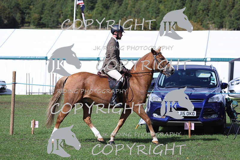 APP_3490 - Class 12 M&M ridden