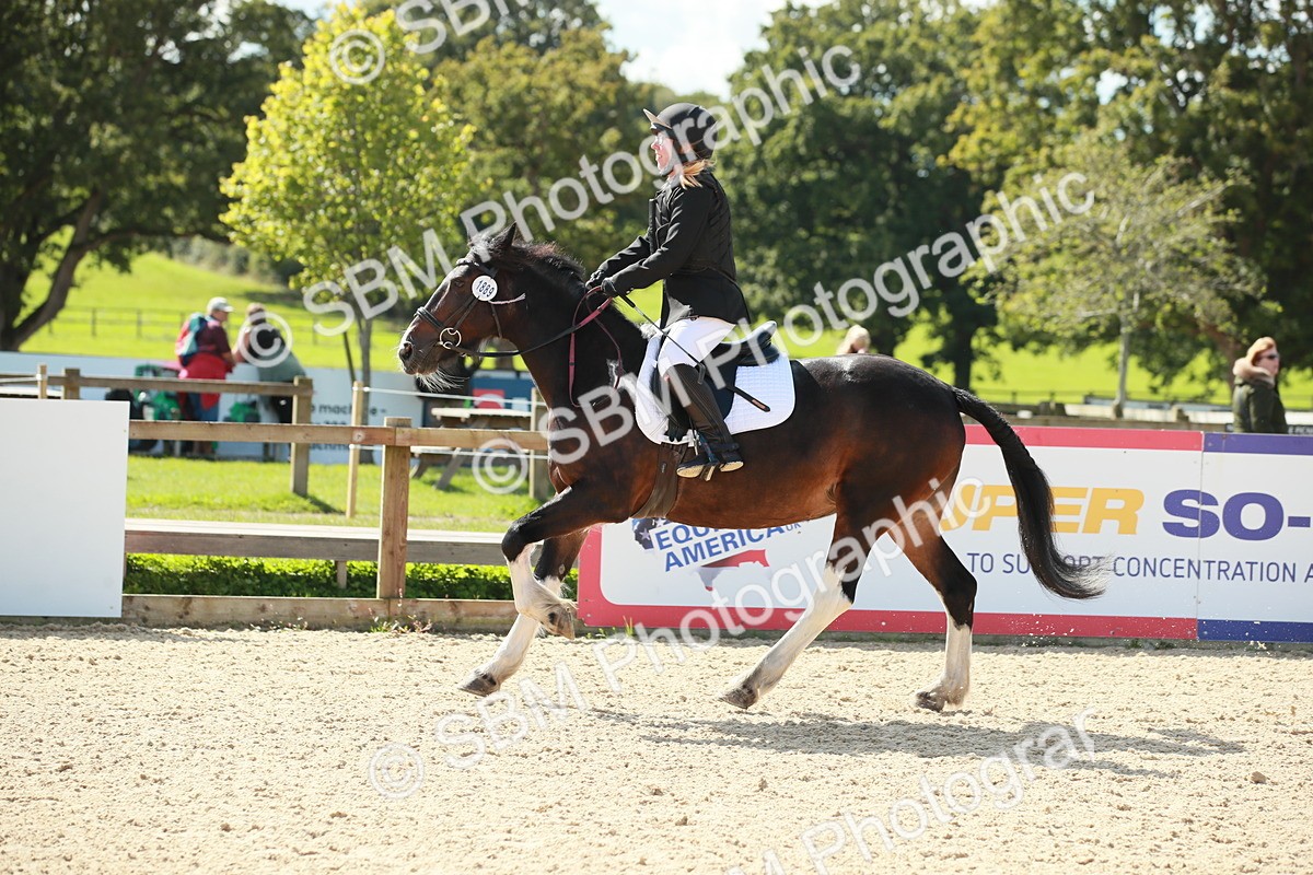 SBM_25467 - J28 Senior 60cm Championship