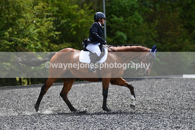 WJ5_0796 - Time 13:04 to 13:42