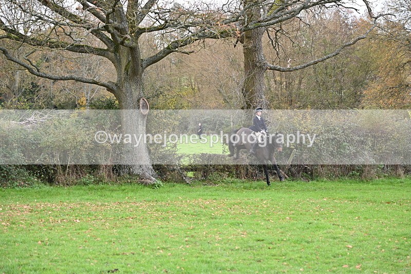 WJ6_1499 - Camera 1