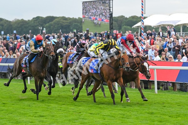 220825-Race 1-Asgards Captain-6630 - Race 1 1.50pm Sky Bet Handicap