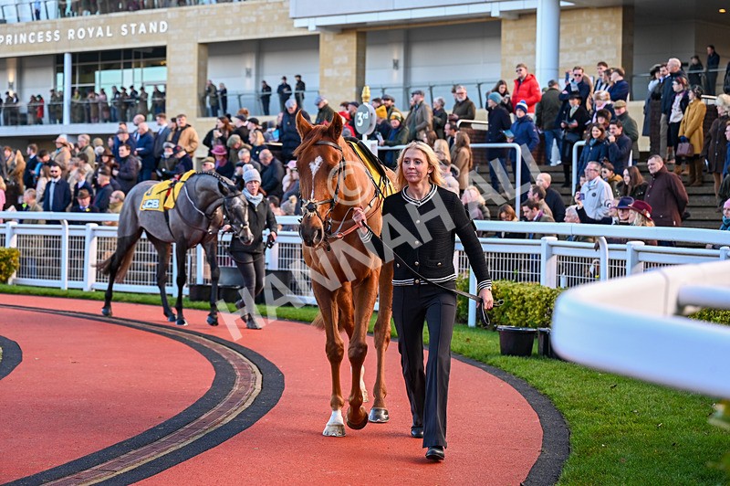 141224-Race 1-Teriferma-0266 - Race 1