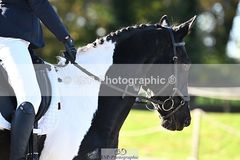 231110-104658-00207 - Cls 2 Prelim 17(a)Q