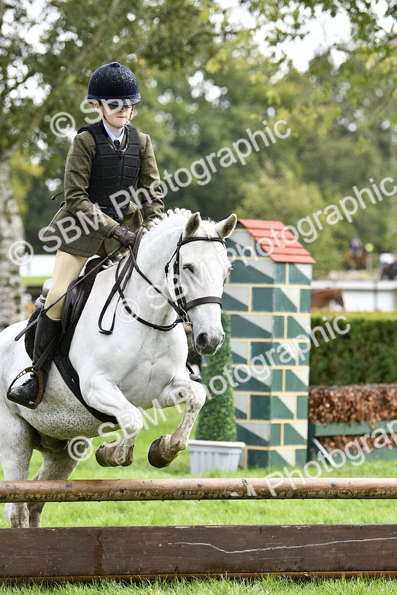 SBM_45583 - S33 - Working Hunter Pony