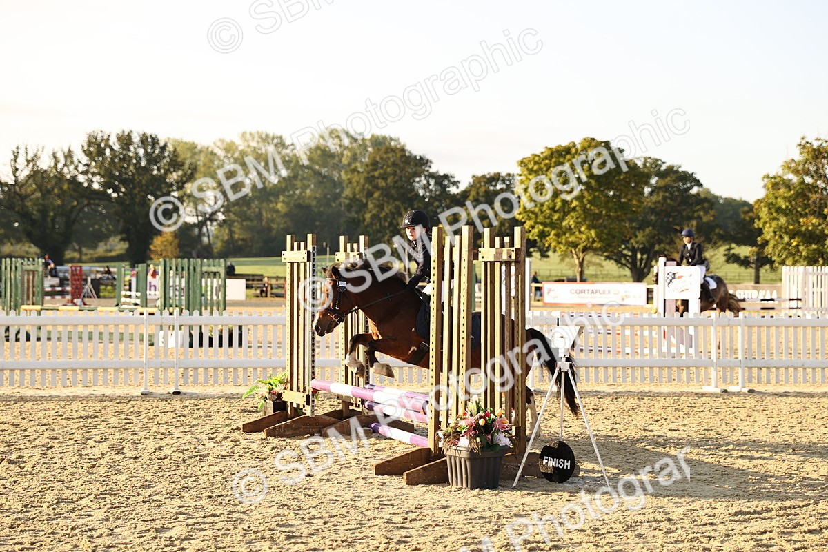 SBM_57084 - J11 - Junior Pony 50cm Championship