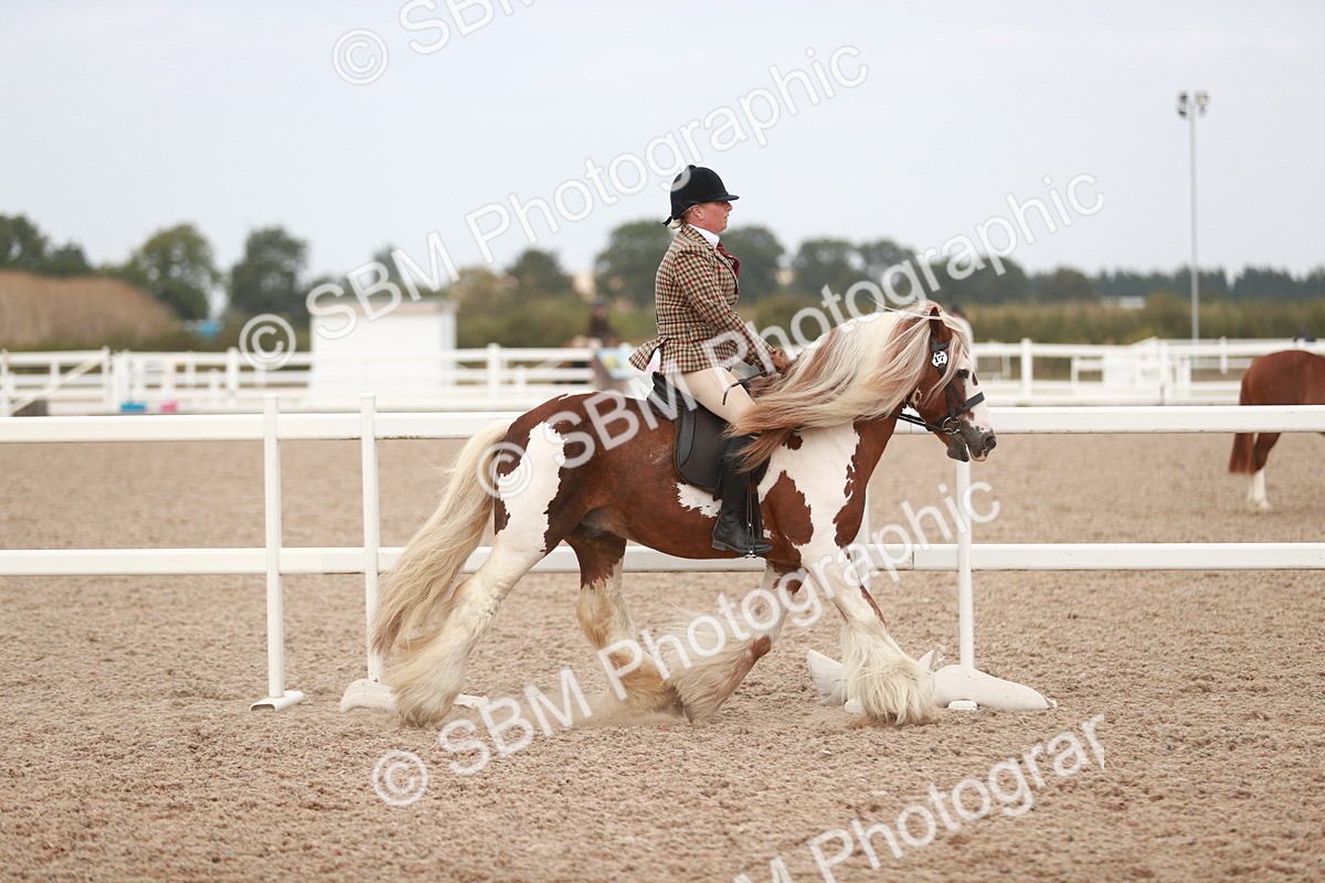 SBM_16640 - Class 214 Ridden Cob
