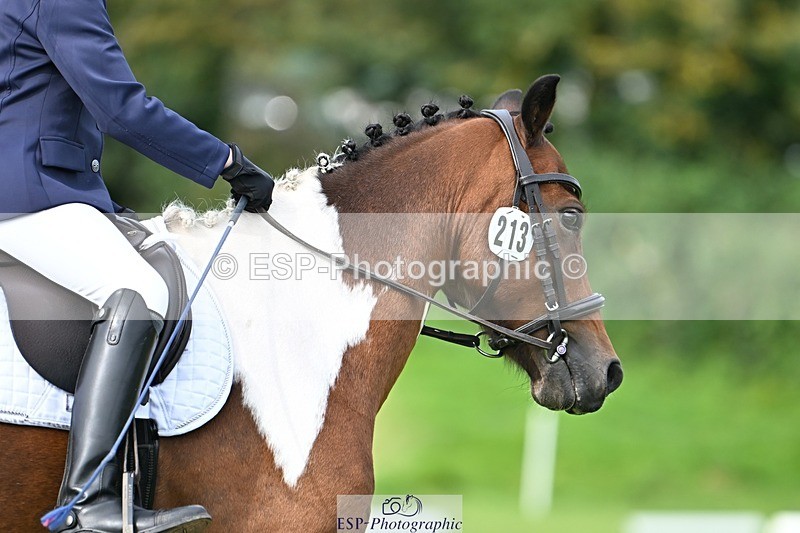 230826-102933-16539 - Sections A & B 10 to End