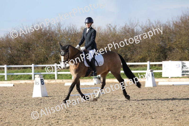 20260314-5865 - DR8 - Elementary 2