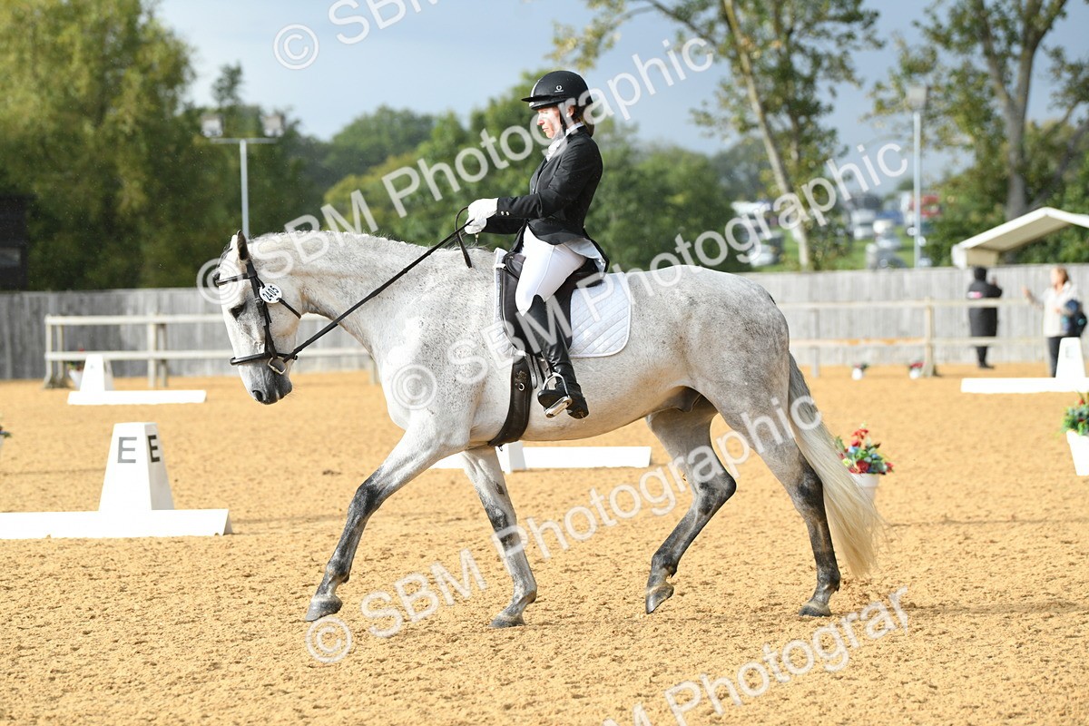 SBM_11153 - D28 Elementary Taster Elementary 42