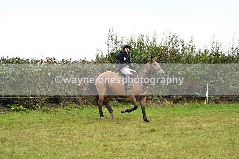 WJ7_4212 - Camera 1 Line 2