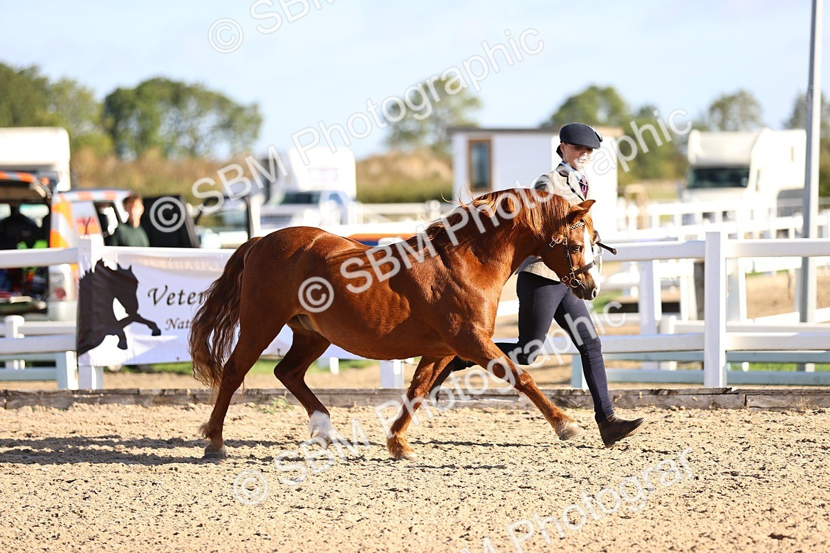 SBM_08420 - Class 402 - IH Veteran Pony