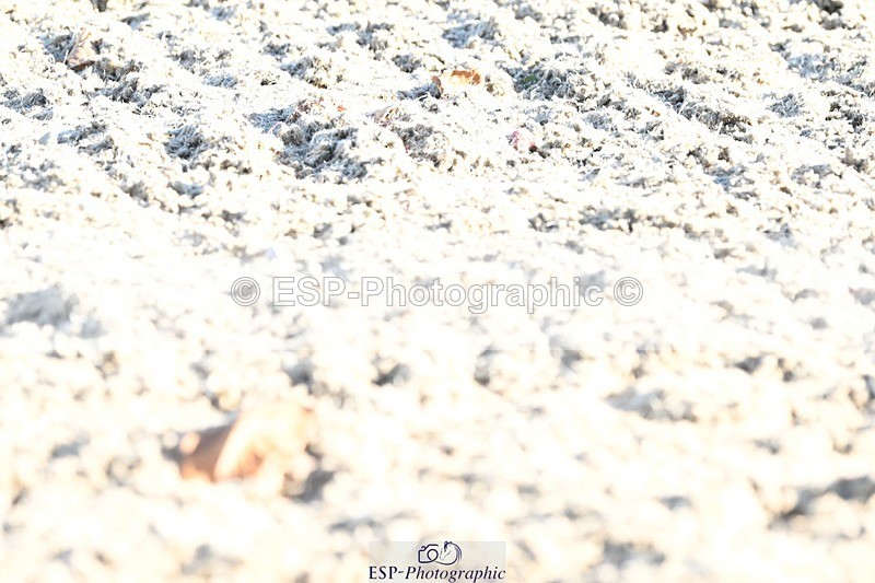 231110-132708-00951 - Cls 4 Novice 39Q