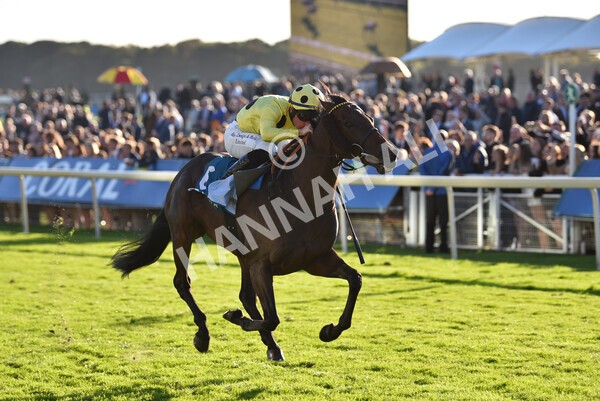 yr08102022r6-39 - Race 6 4.25pm The Watch Racing Online Free With Coral Handicap Stakes